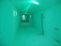 DSCF0831