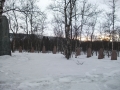 DSCF0920