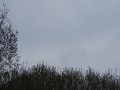 DSC02103