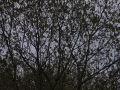 DSC02105