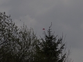 DSC02106