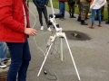 IMG-20190503-WA0009